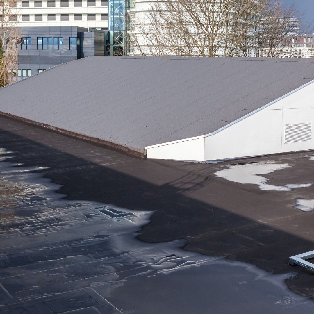 Square - 2026-04-17T151015.234